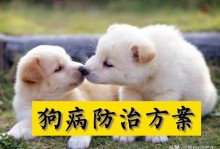 犬瘟热症状-犬瘟热症状图片