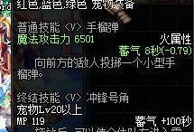 dnf宠物黑炭头-地下城与勇士黑炭头