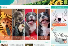 什么软件可以卖宠物-什么软件卖宠物犬最便宜