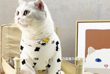 宠物猫衣服怎么做-宠物猫衣服的制作教程