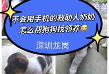 深圳狗狗领养-深圳狗狗领养送养中心