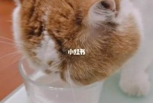 猫可不可以喝牛奶-猫喝了纯牛奶会怎么样