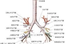 宠物气管痉挛-狗狗气管痉挛视频