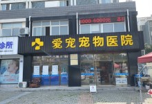 兰州宠物美容店-兰州宠物美容店地址