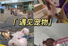 贵阳市宠物店-贵阳市宠物店有多少家