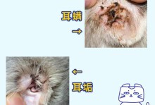 猫咪耳螨图片-猫咪耳螨图片初期