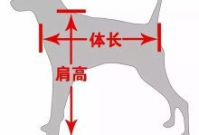 西安禁养犬种-西安禁养犬种名单最新