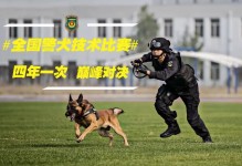 宠物警犬训练-宠物警犬训练视频教程