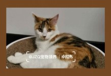 贵阳宠物猫-贵阳宠物猫宠物狗宠物大全