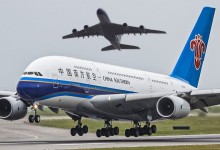 中国南方航空宠物-中国南方航空宠物托运