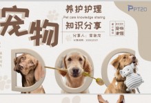 宠物饲养管理规定-宠物犬饲养及管理原则