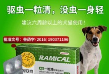 宠物犬驱虫药-宠物犬驱虫药吡喹酮有毒吗