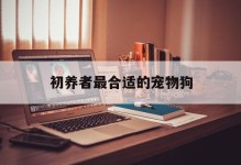 初养者最合适的宠物狗-初养者最合适的宠物狗是什么