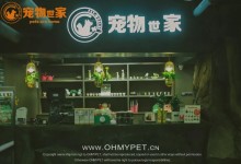 常州那里有专业宠物店-常州哪里有宠物市场在哪里