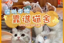 星期猫是什么意思-星期猫是什么意思?星期猫可以救活吗?