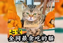 贪吃的小猫-贪吃的小猫怎么画