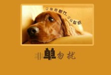 北京回收宠物狗-北京长期上门收购各种宠物犬