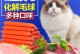 猫能吃鸡肉肠吗-猫猫能吃鸡肉肠吗