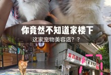 宠物美容店加盟那家好-宠物美容的连锁和直营品牌