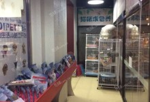 北京正规的宠物店-北京正规宠物店买成年斗牛犬多少钱