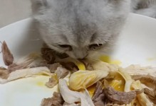 宠物猫能吃肉吗-宠物猫能不能吃肉