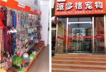 大美宠物店-宠物美容店地址