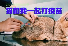 猫可以不打疫苗吗-猫咪3针疫苗一共多少元