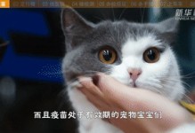 火车能带猫吗-火车能带猫吗?用猫包