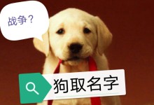 宠物狗姓名-宠物狗🐶名字