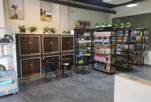 广州黄浦区宠物店-广州宠物店电话号码