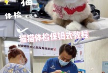 宠物猫体检价格-宠物猫体检一般多少钱