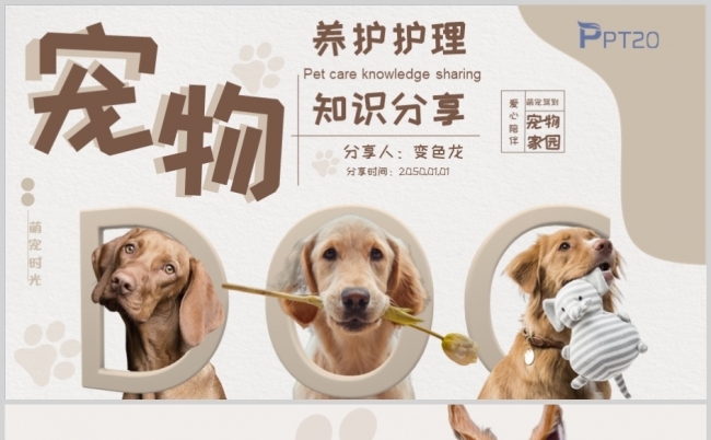 宠物饲养管理规定-宠物犬饲养及管理原则