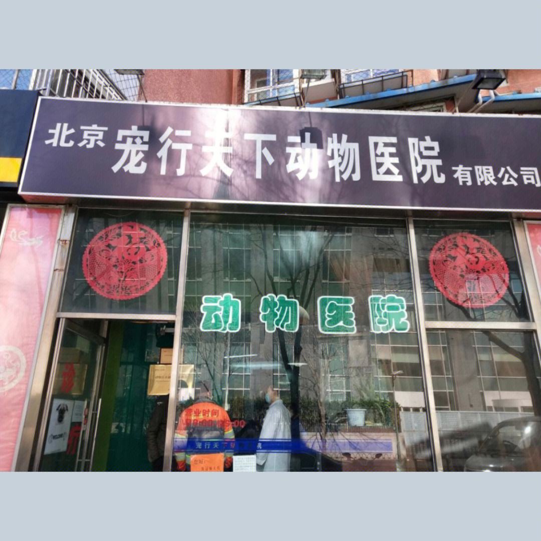 北京宠物加盟-北京宠物加盟店排行榜