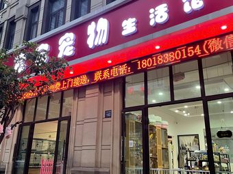 乌鲁木齐市宠物店-乌鲁木齐市宠物店有哪些