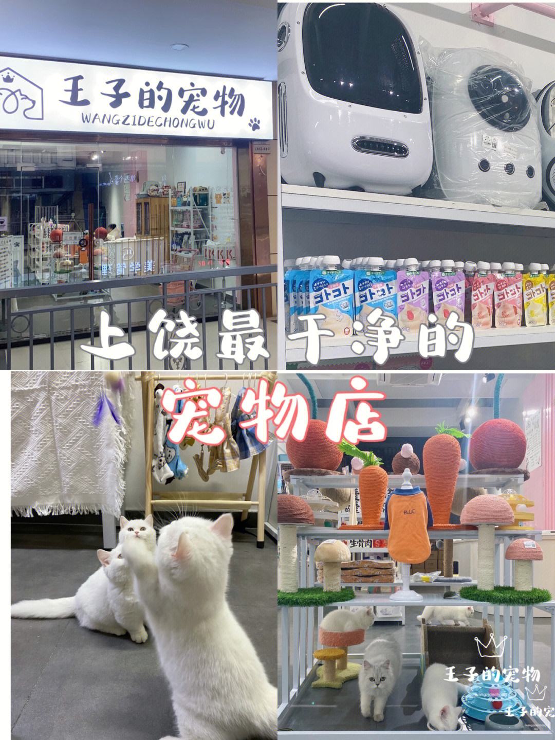 宠物用品的店名-宠物用品的店名大全