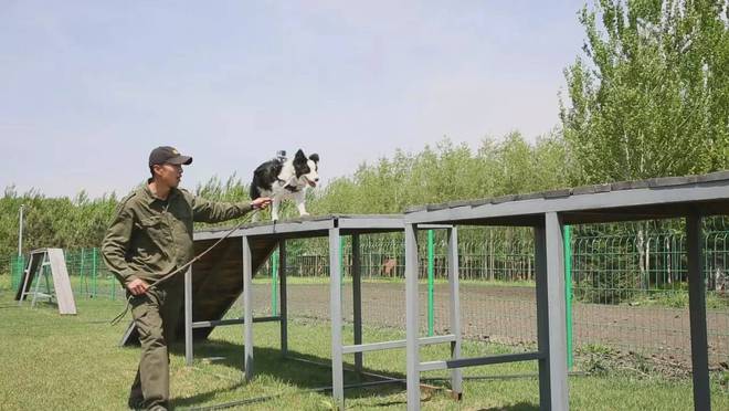 爱家宠物生活馆-爱家宠物生活馆电话