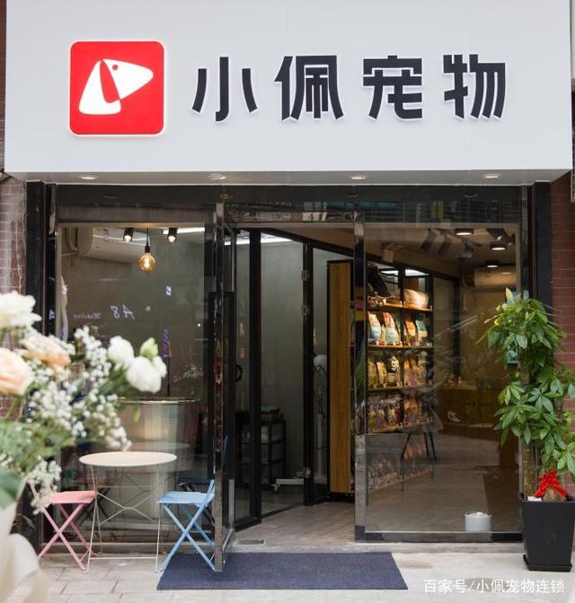 大庆哪个宠物店-大庆宠物店大庆宠物服务信息