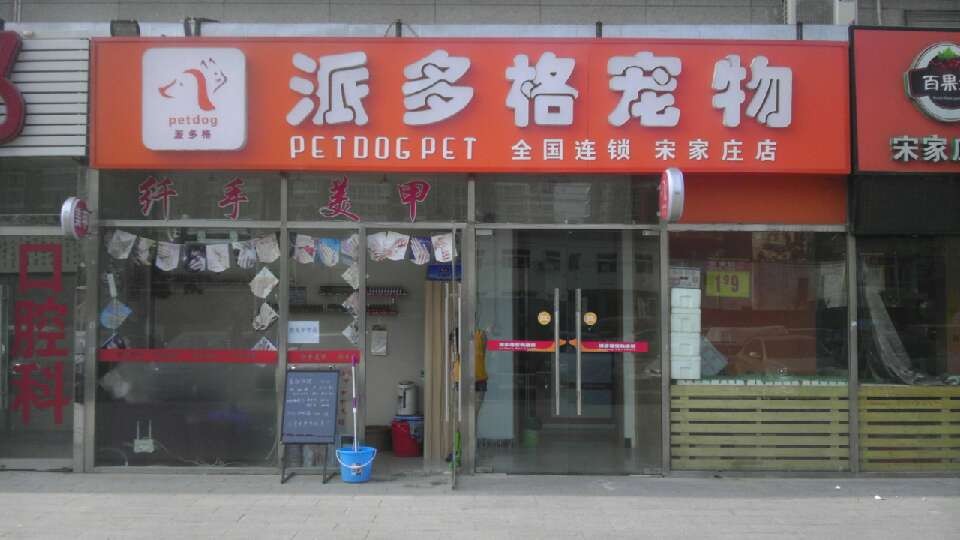 宠物店里的宠物贵吗-宠物店好贵