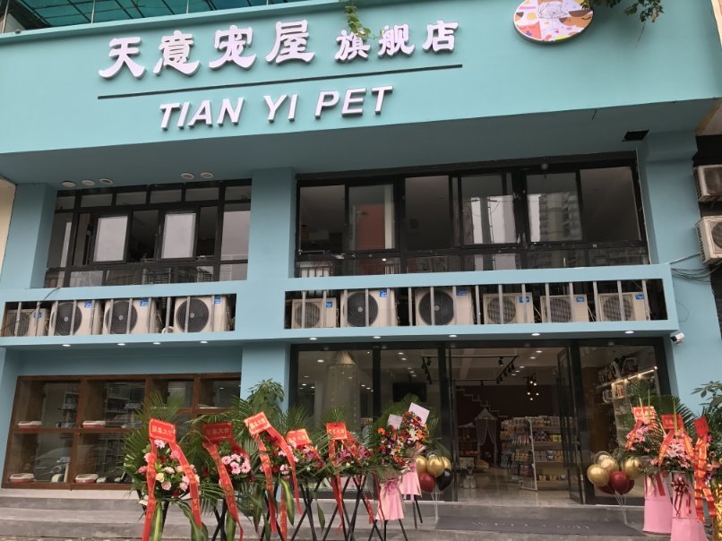 重庆好的宠物店-重庆宠物店电话号码