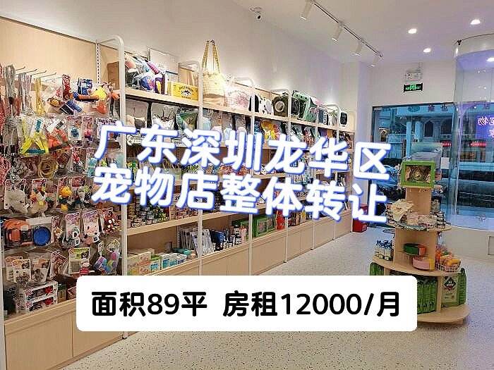 深圳哪家宠物店卖宠物-深圳哪家宠物店卖宠物猫的