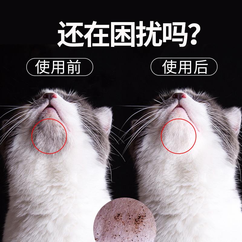 猫鼻子有黑色结痂-猫鼻子有黑色结痂是什么原因