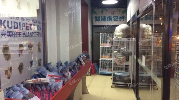 北京正规的宠物店-北京正规宠物店买成年斗牛犬多少钱