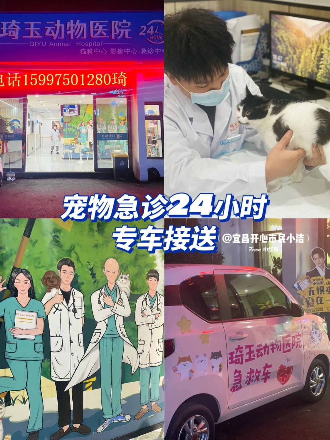 宠物店有医生吗-宠物店里有医生吗