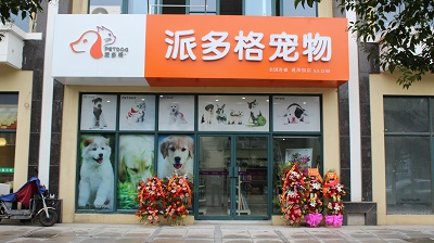 桂林宠物美容店-桂林宠物美容培训学校