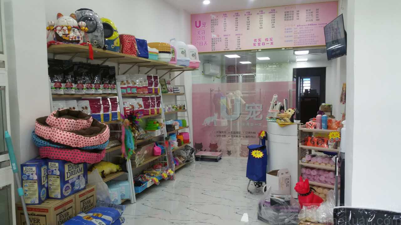 宠物店寄养一天多少钱-宠物店寄养宠物一天多少钱