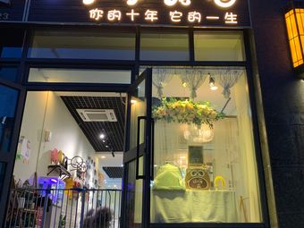 乌鲁木齐哪里有宠物店-乌鲁木齐哪里有宠物店铺