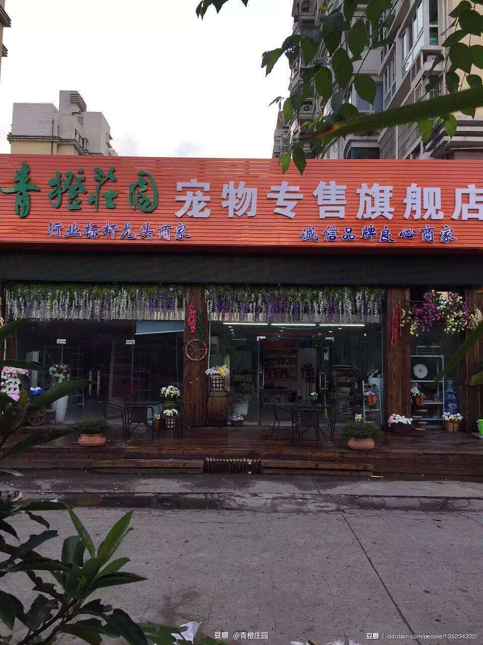 宠物店上海-上海宠物店最多的地方在哪