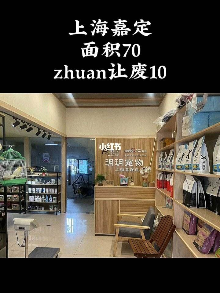 嘉定宠物店-嘉定宠物店狗狗洗澡地方