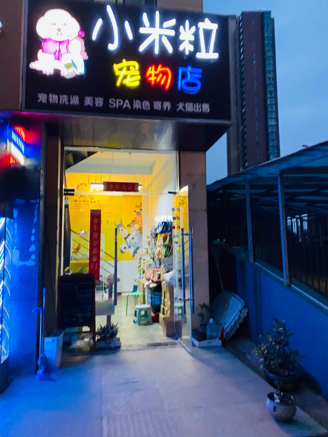 嘉定宠物店-嘉定宠物店狗狗洗澡地方