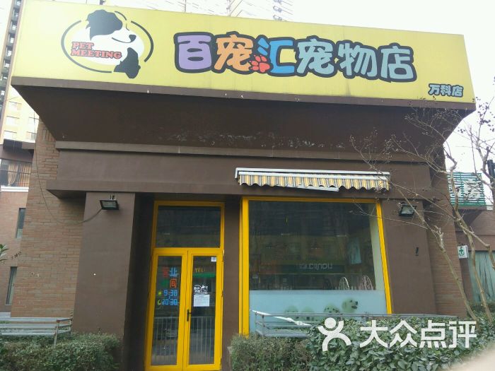 买宠物去宠物店-买宠物去宠物店好吗